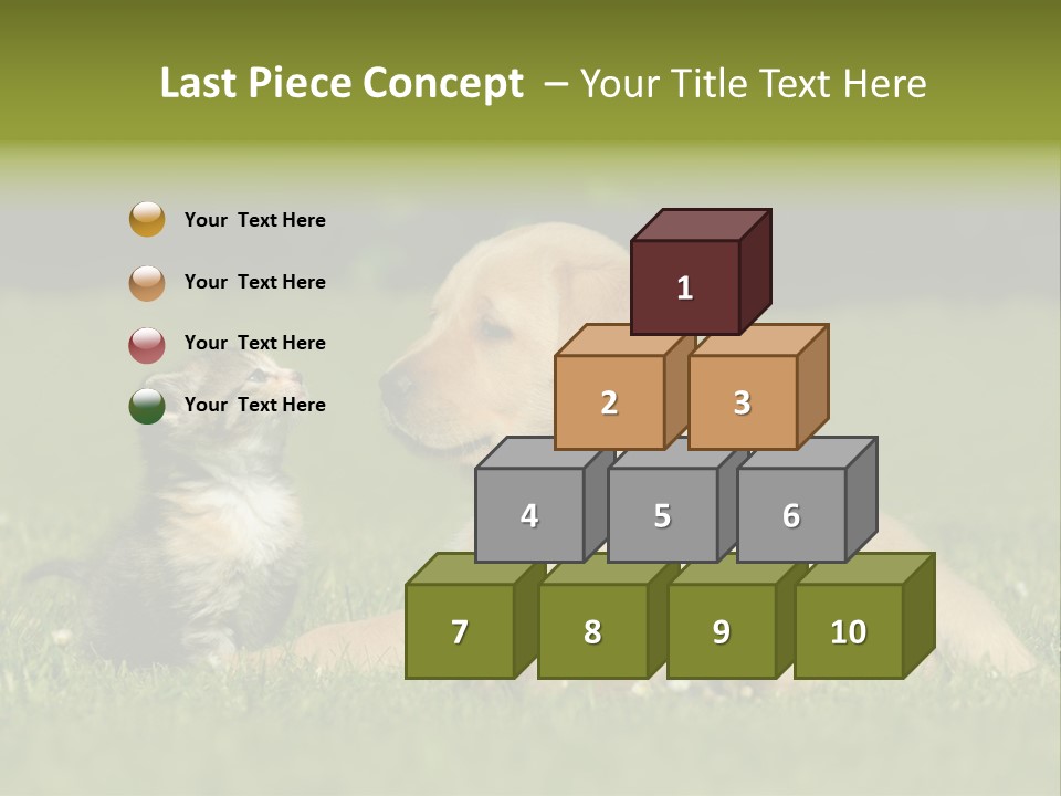 Two Lying Cat PowerPoint Template