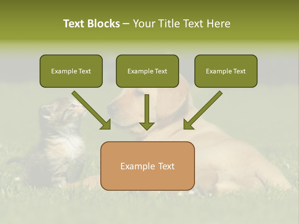 Two Lying Cat PowerPoint Template