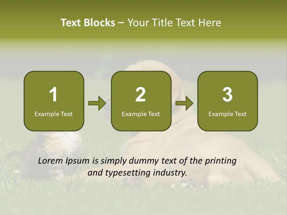 Two Lying Cat PowerPoint Template