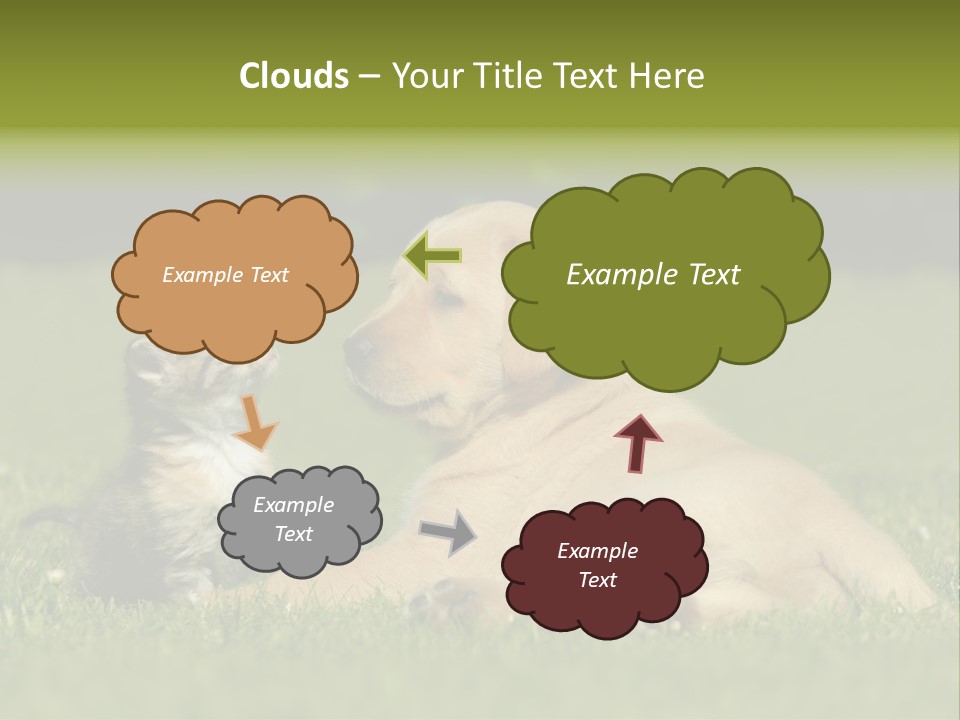 Two Lying Cat PowerPoint Template