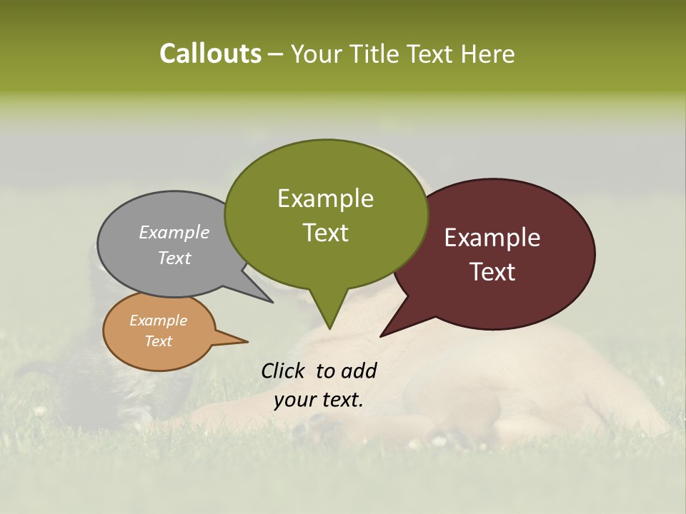 Two Lying Cat PowerPoint Template