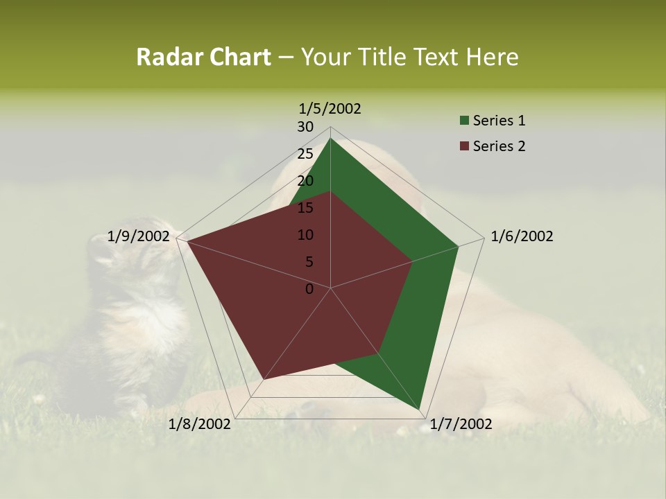 Two Lying Cat PowerPoint Template