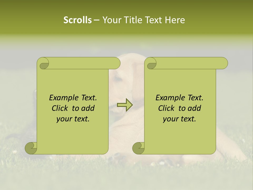 Two Lying Cat PowerPoint Template