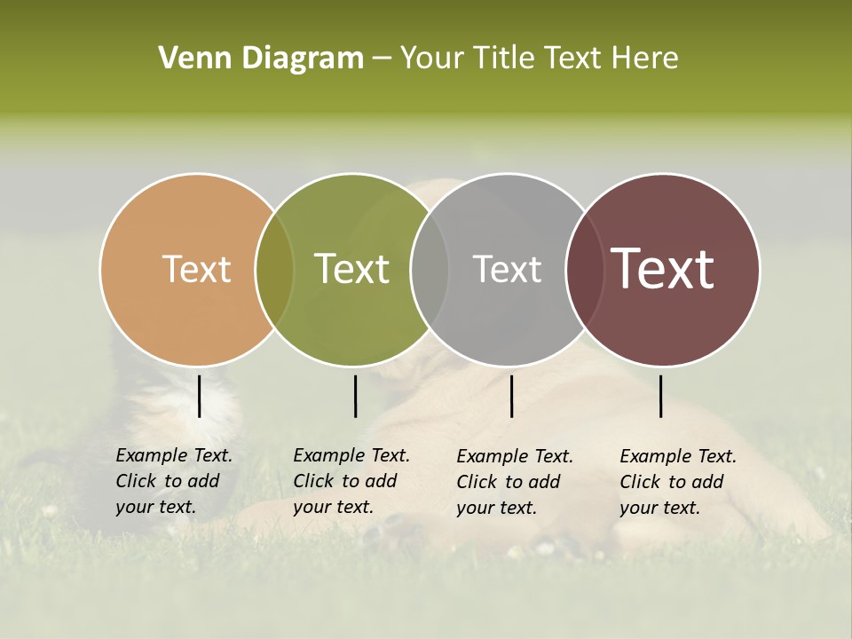 Two Lying Cat PowerPoint Template