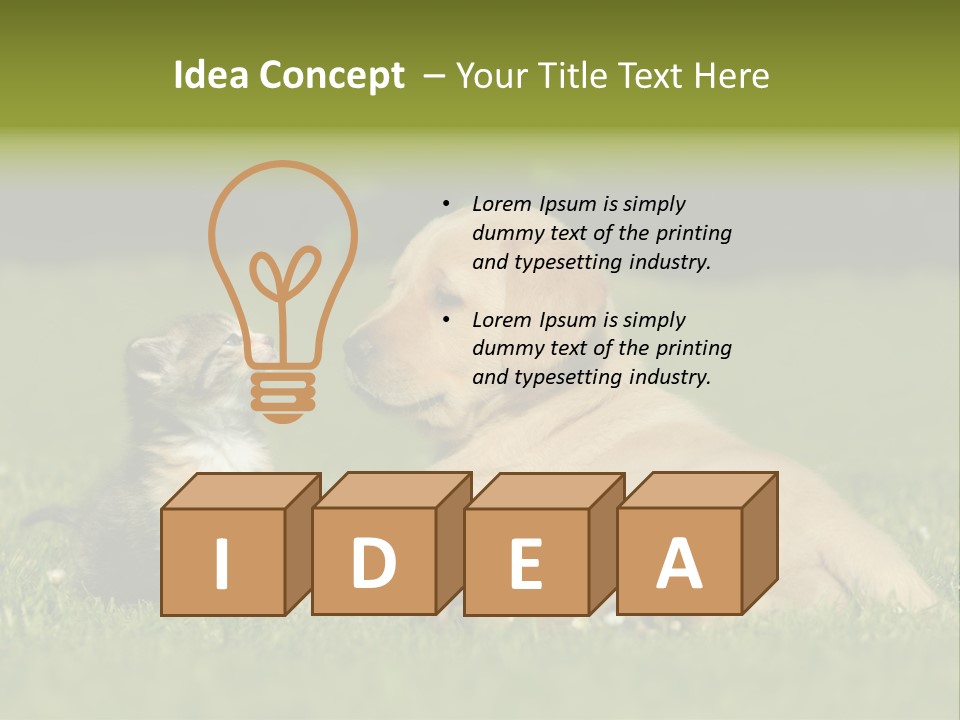 Two Lying Cat PowerPoint Template