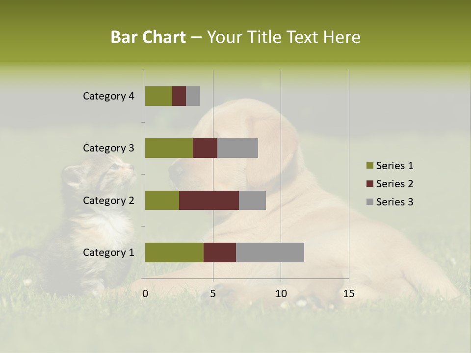 Two Lying Cat PowerPoint Template