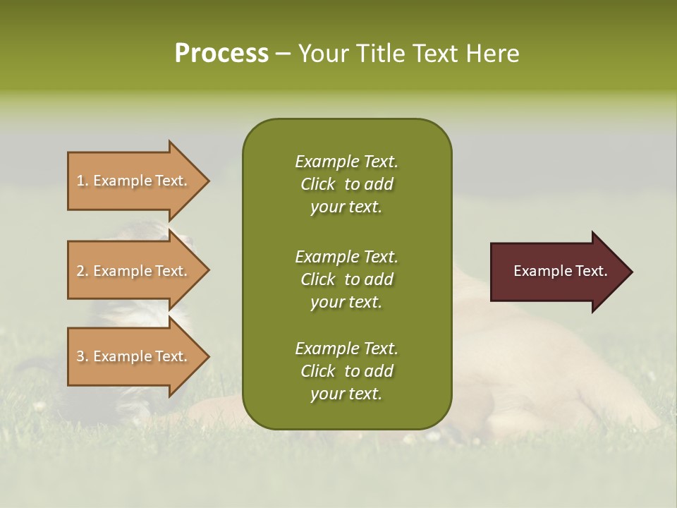 Two Lying Cat PowerPoint Template