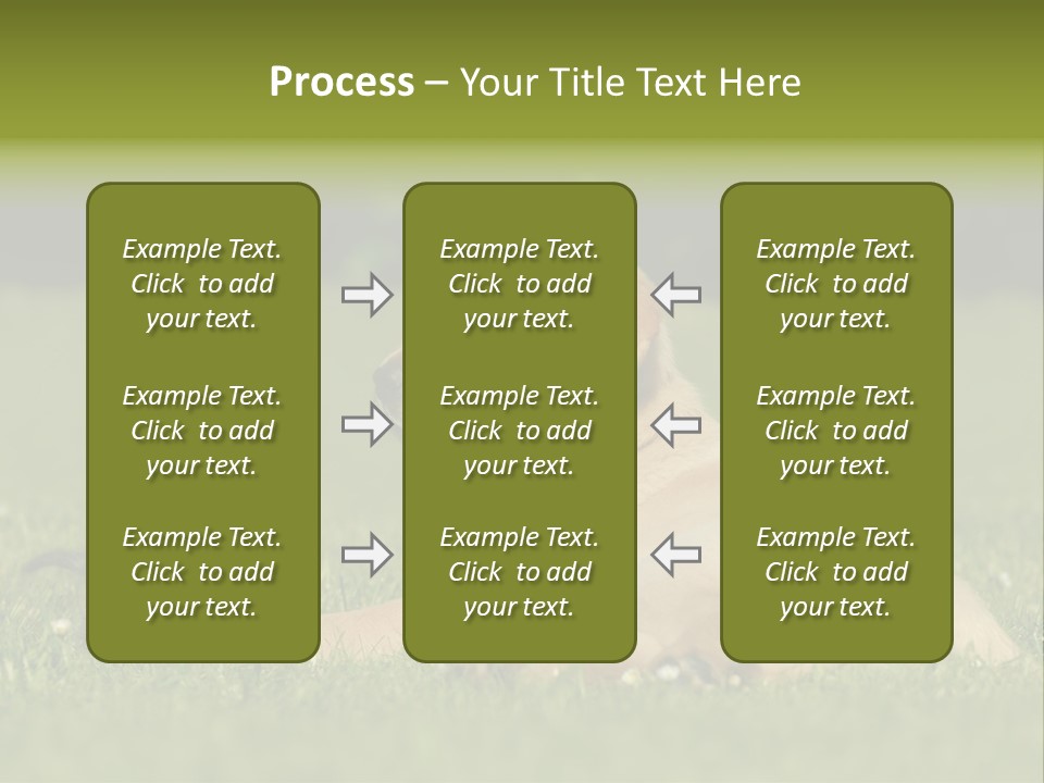 Two Lying Cat PowerPoint Template