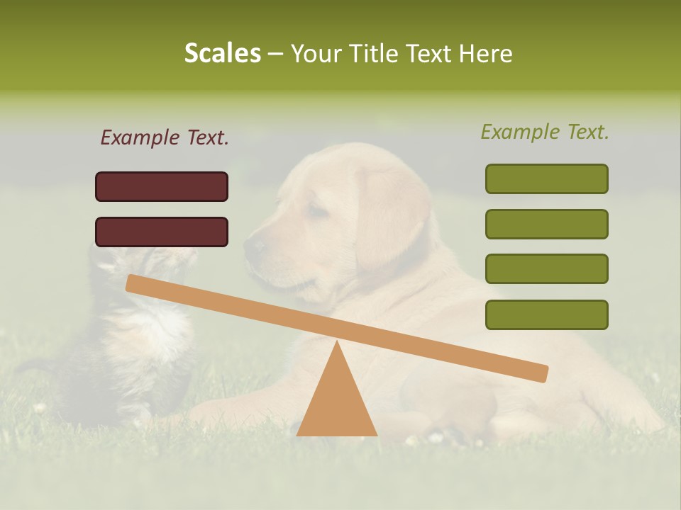 Two Lying Cat PowerPoint Template