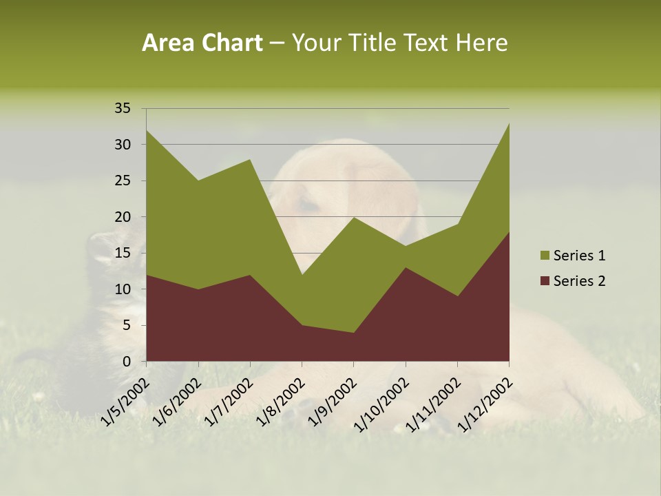 Two Lying Cat PowerPoint Template
