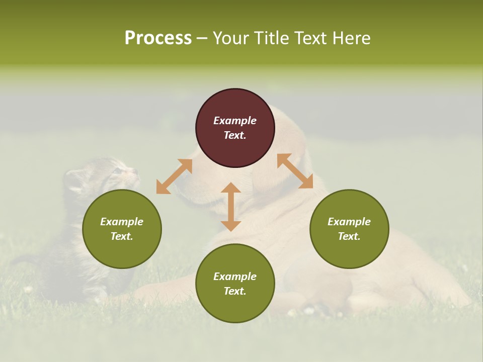 Two Lying Cat PowerPoint Template