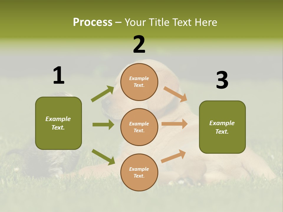 Two Lying Cat PowerPoint Template