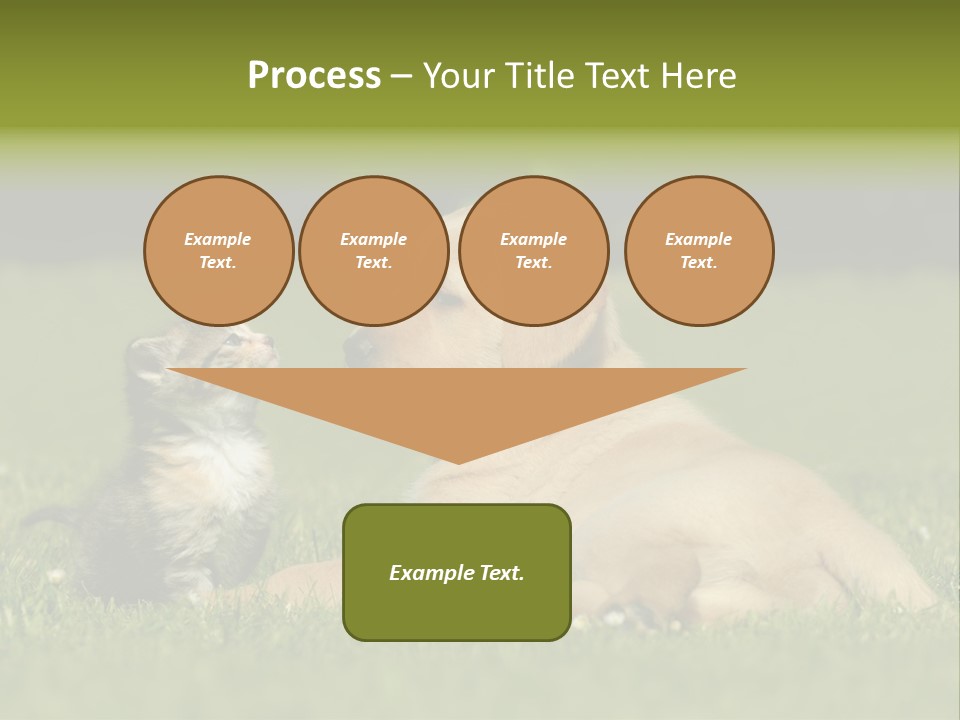 Two Lying Cat PowerPoint Template