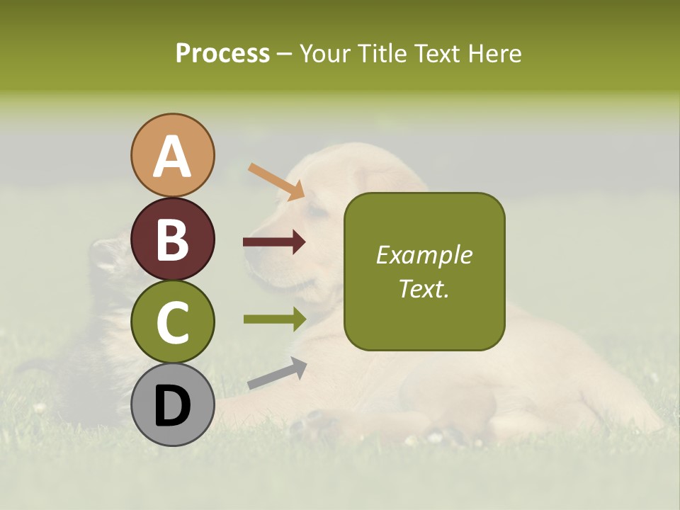 Two Lying Cat PowerPoint Template