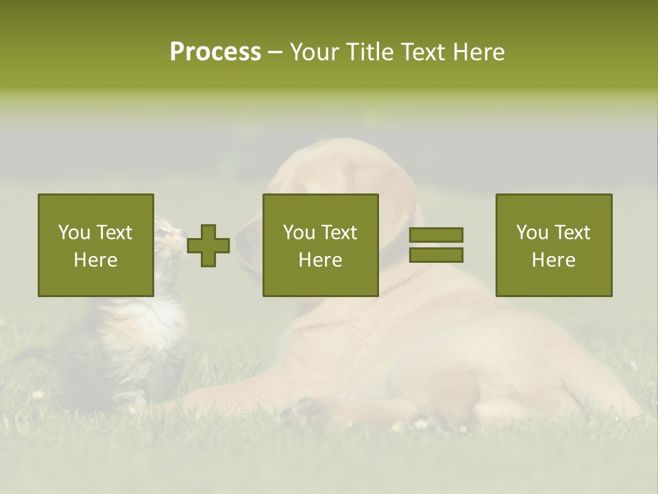 Two Lying Cat PowerPoint Template