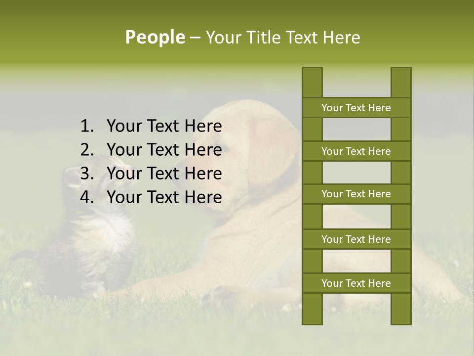 Two Lying Cat PowerPoint Template