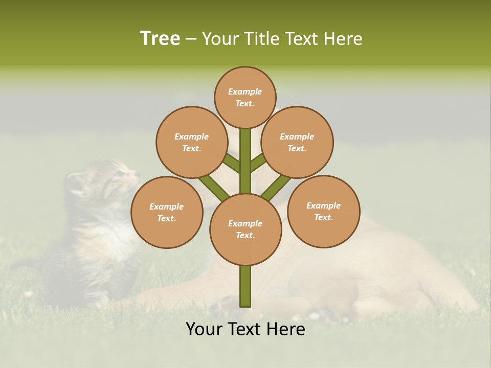 Two Lying Cat PowerPoint Template