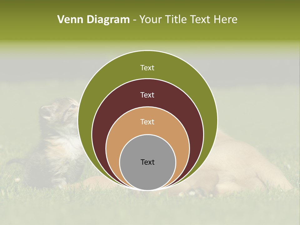 Two Lying Cat PowerPoint Template