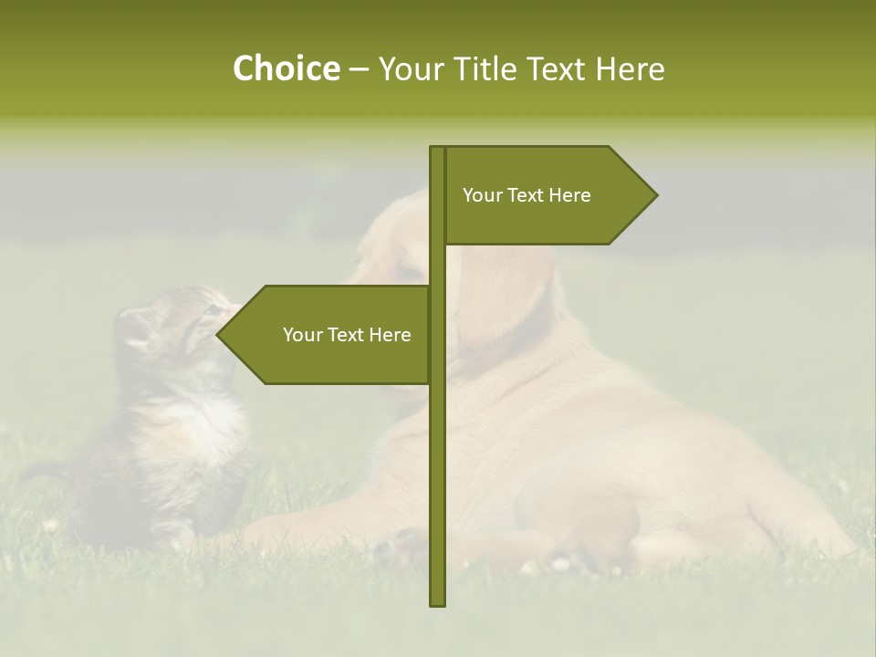 Two Lying Cat PowerPoint Template