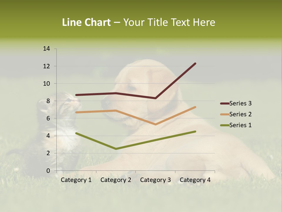 Two Lying Cat PowerPoint Template