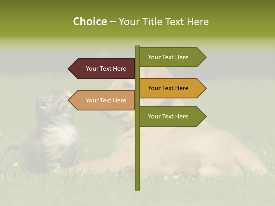 Two Lying Cat PowerPoint Template