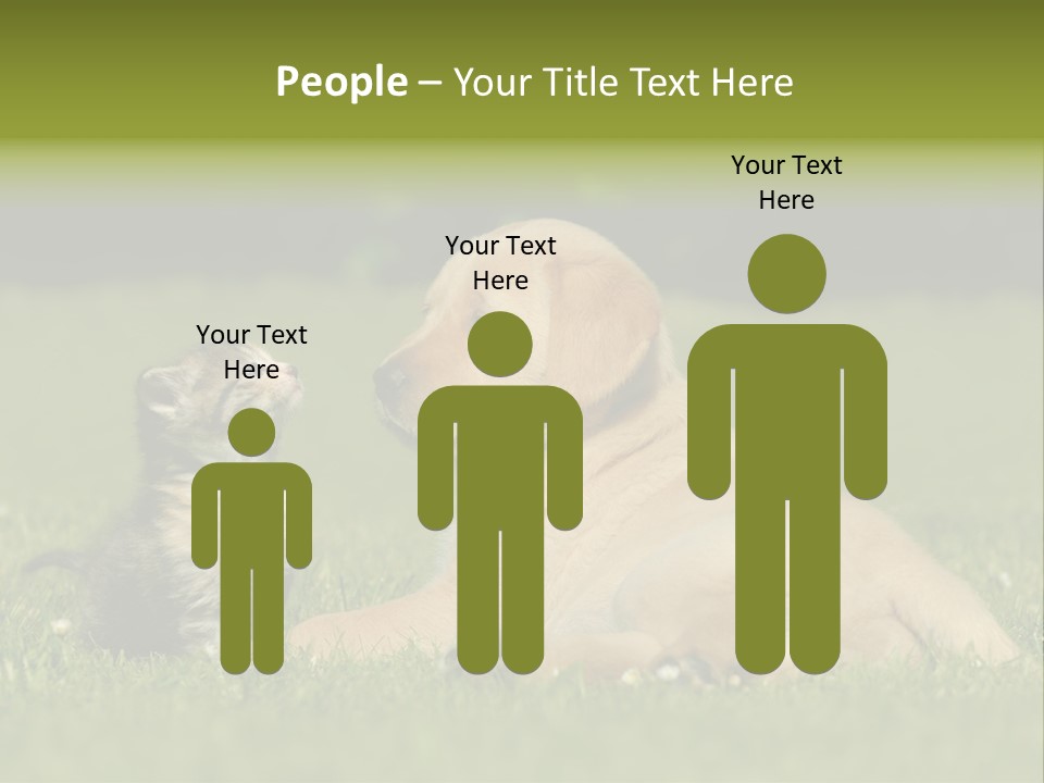 Two Lying Cat PowerPoint Template