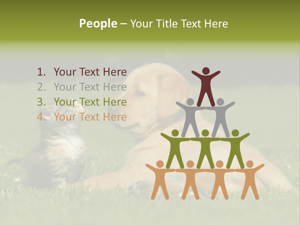 Two Lying Cat PowerPoint Template