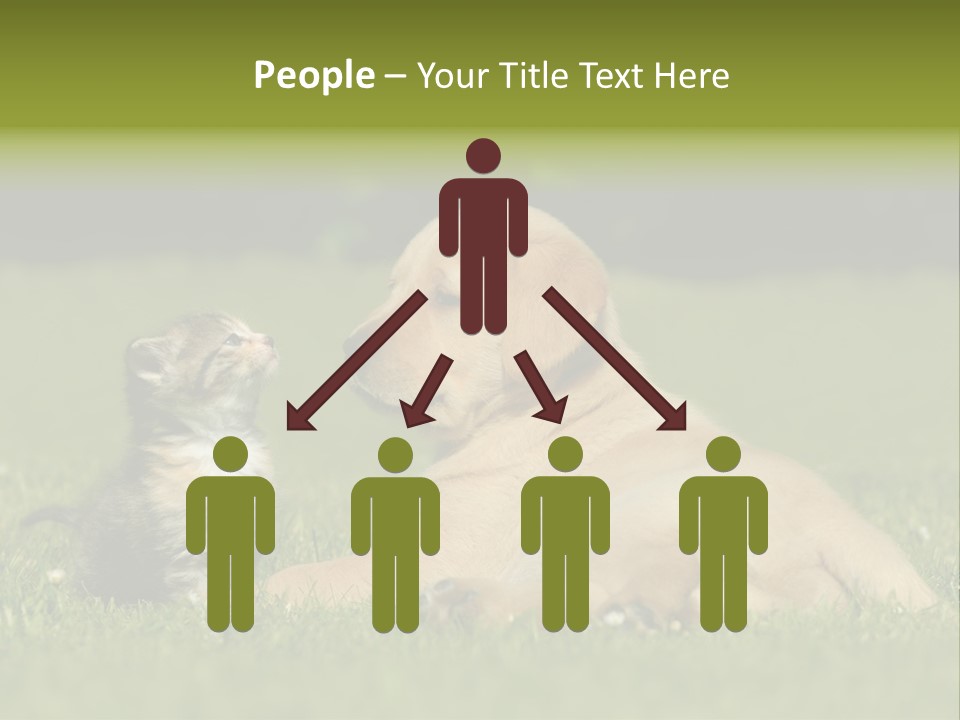 Two Lying Cat PowerPoint Template