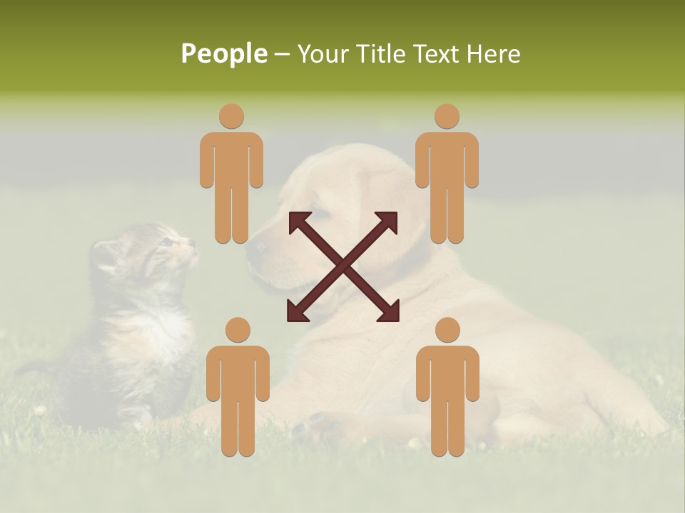 Two Lying Cat PowerPoint Template