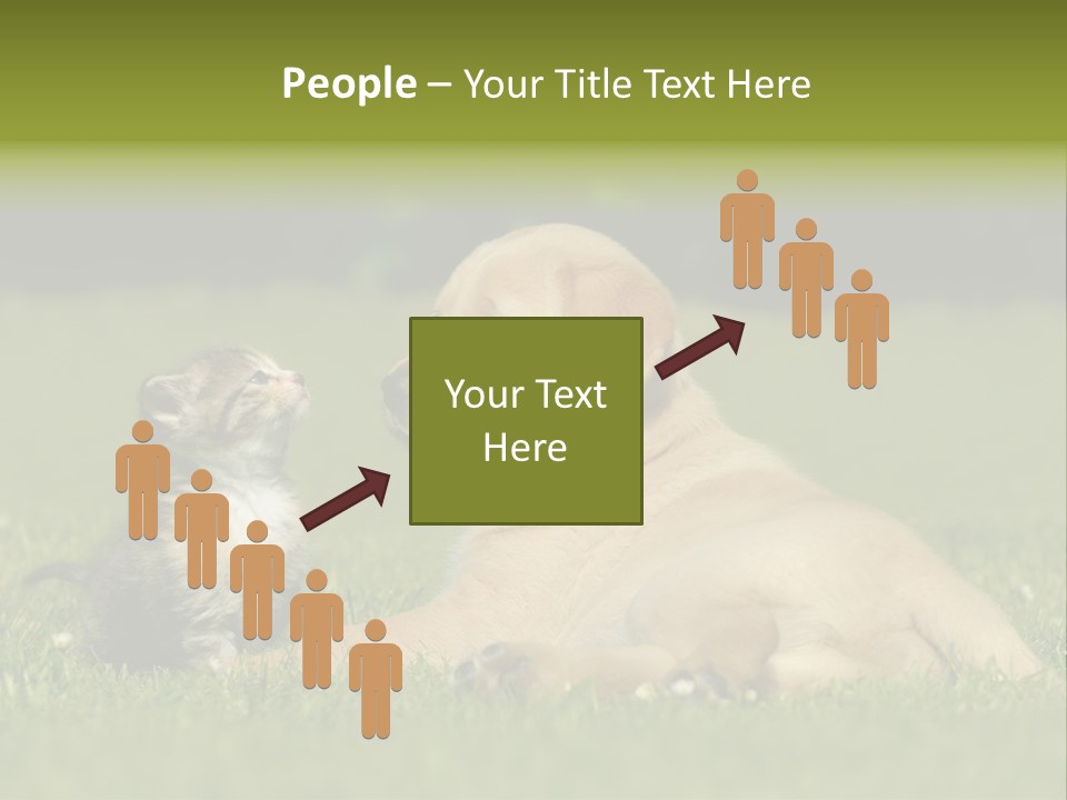 Two Lying Cat PowerPoint Template