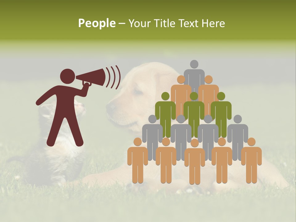 Two Lying Cat PowerPoint Template