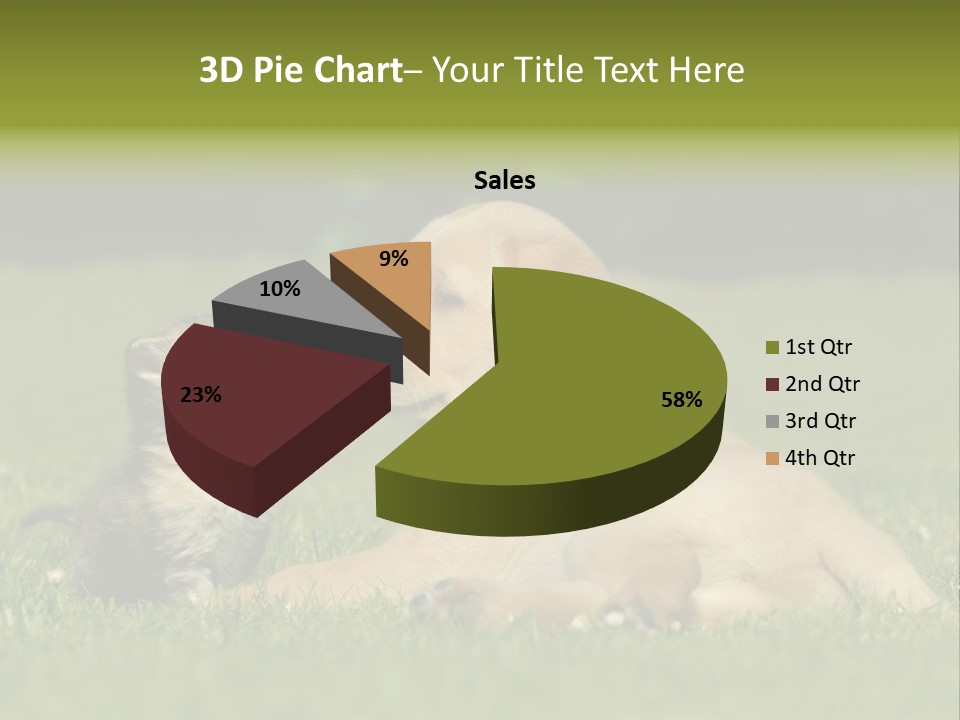 Two Lying Cat PowerPoint Template