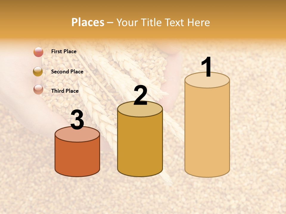 Agricultural Ears Harvest PowerPoint Template