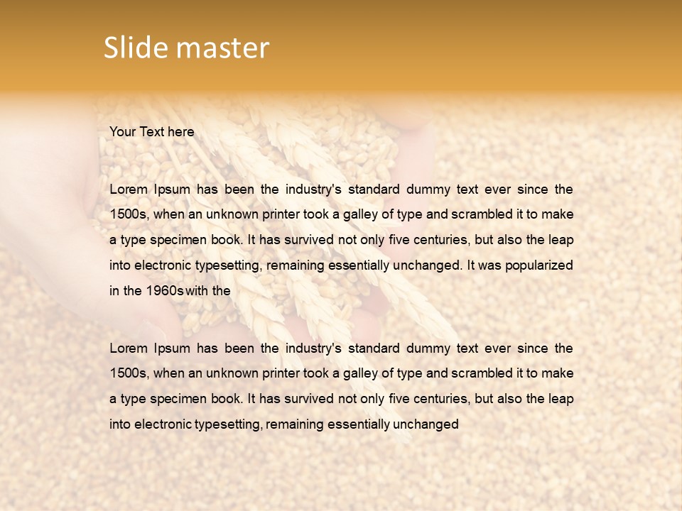 Agricultural Ears Harvest PowerPoint Template