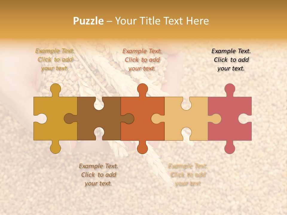 Agricultural Ears Harvest PowerPoint Template