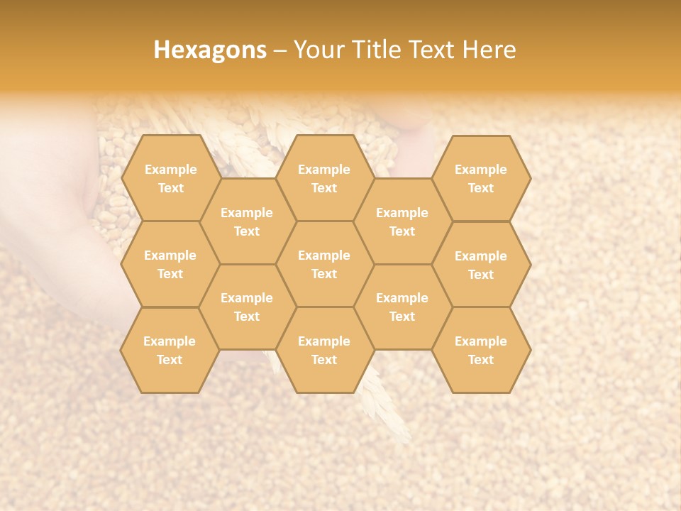 Agricultural Ears Harvest PowerPoint Template