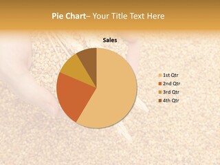 Agricultural Ears Harvest PowerPoint Template