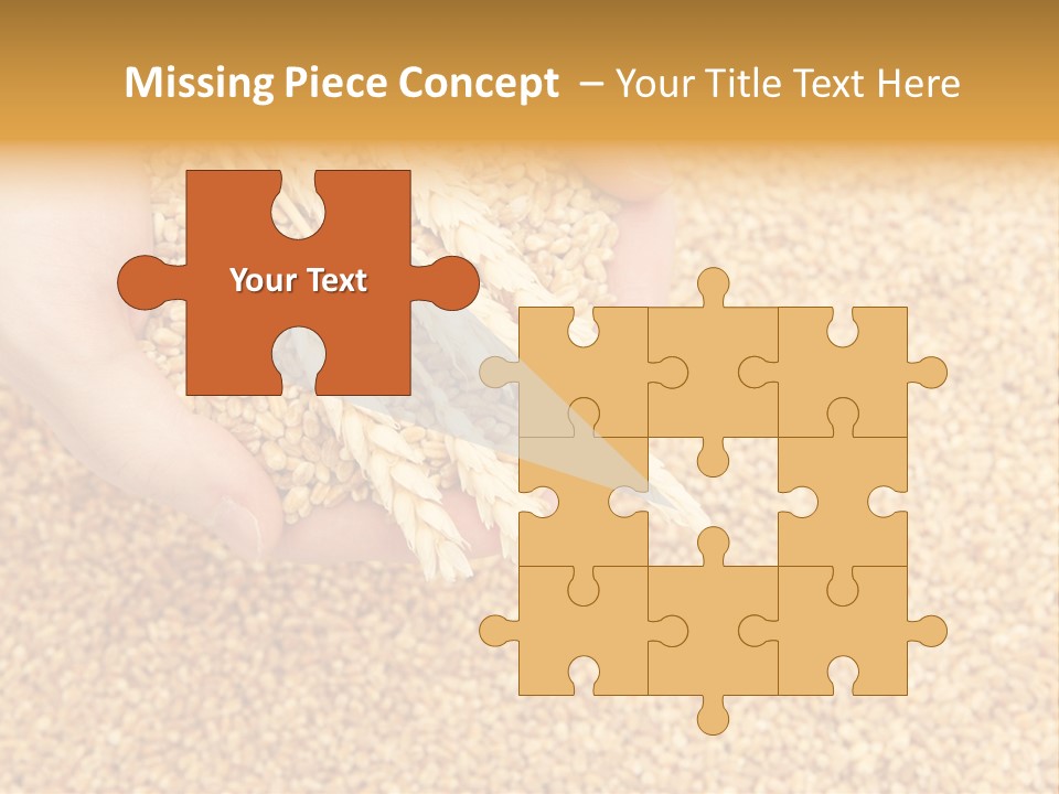 Agricultural Ears Harvest PowerPoint Template