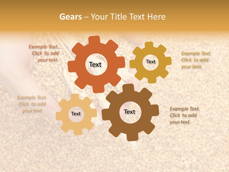 Agricultural Ears Harvest PowerPoint Template