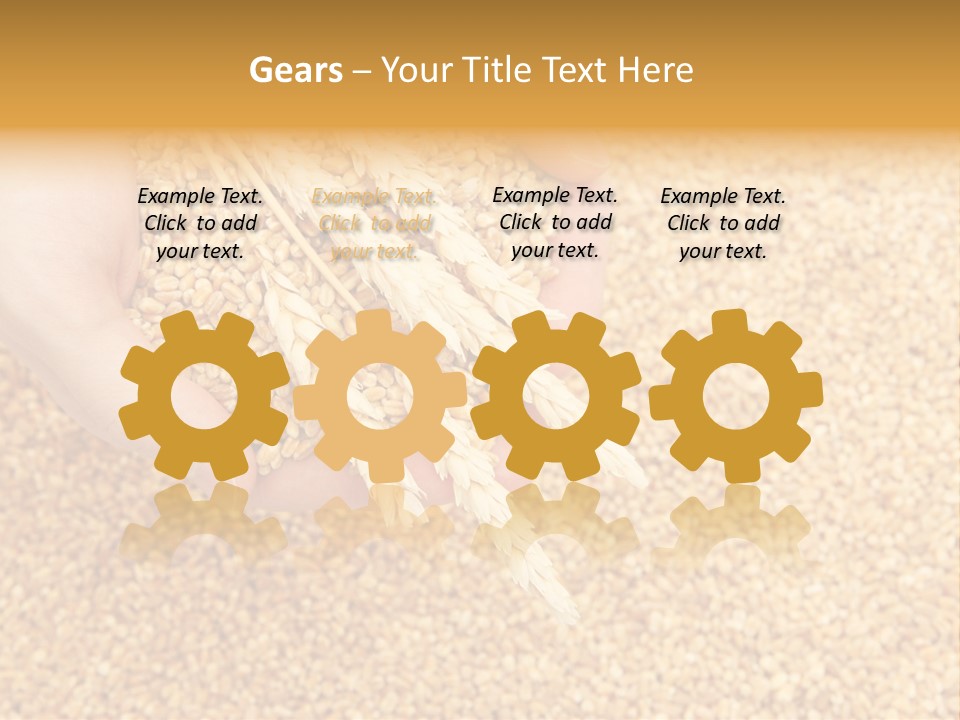 Agricultural Ears Harvest PowerPoint Template