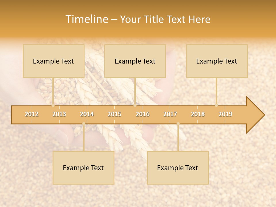 Agricultural Ears Harvest PowerPoint Template