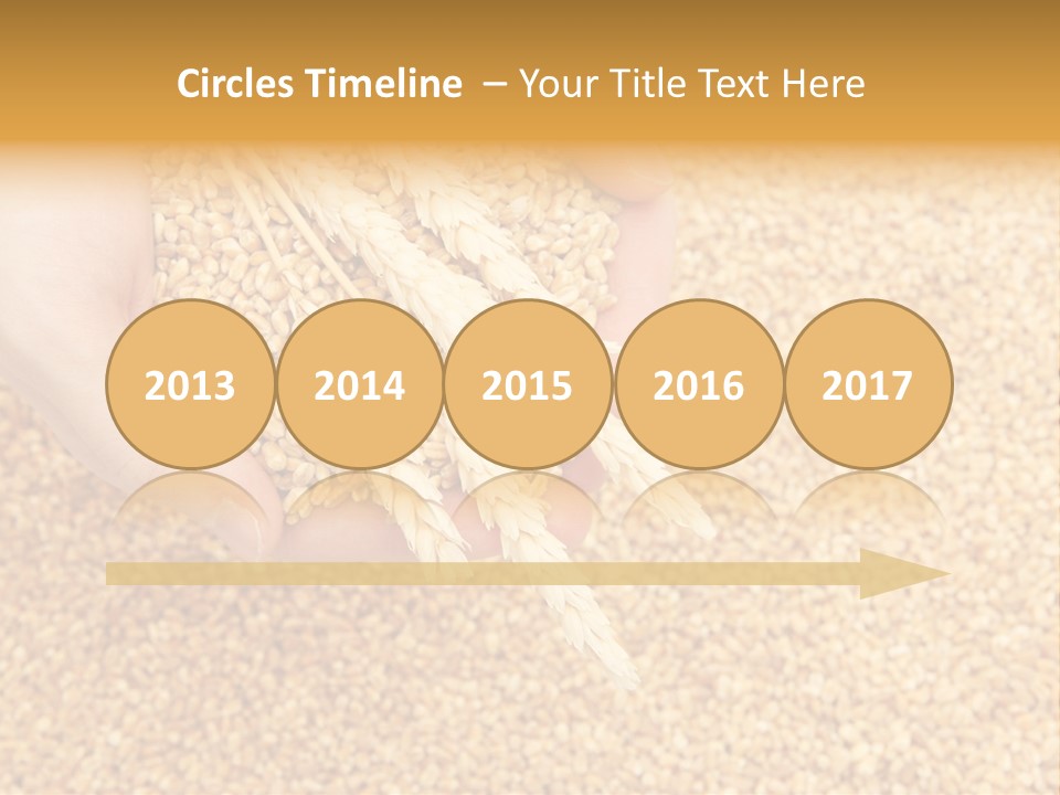 Agricultural Ears Harvest PowerPoint Template