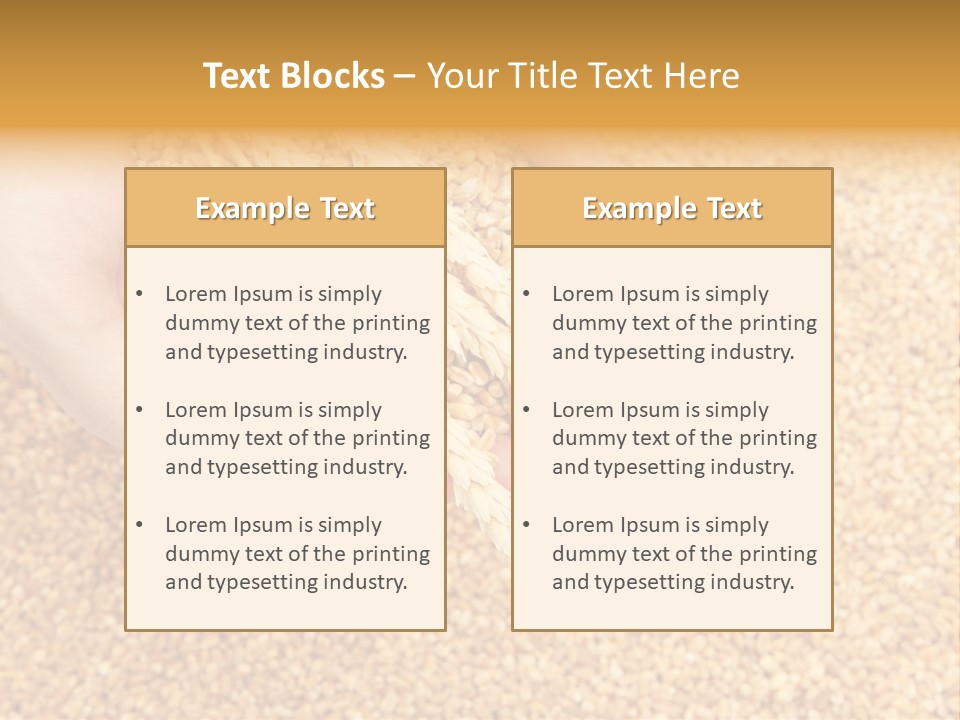 Agricultural Ears Harvest PowerPoint Template