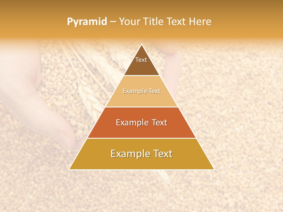 Agricultural Ears Harvest PowerPoint Template