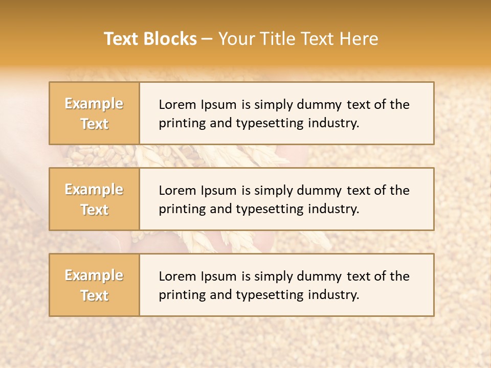 Agricultural Ears Harvest PowerPoint Template