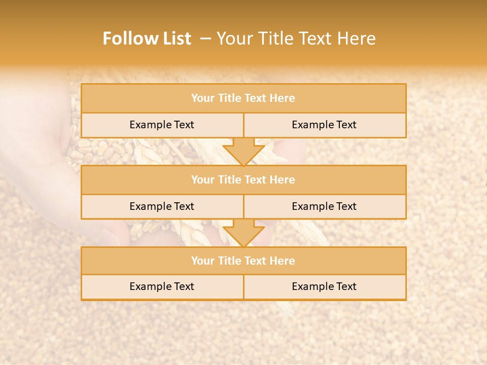 Agricultural Ears Harvest PowerPoint Template