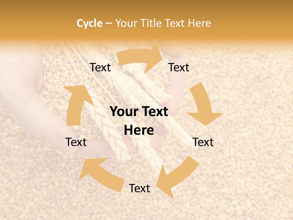 Agricultural Ears Harvest PowerPoint Template