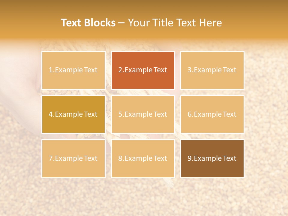 Agricultural Ears Harvest PowerPoint Template