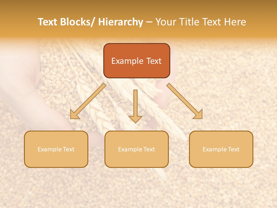 Agricultural Ears Harvest PowerPoint Template