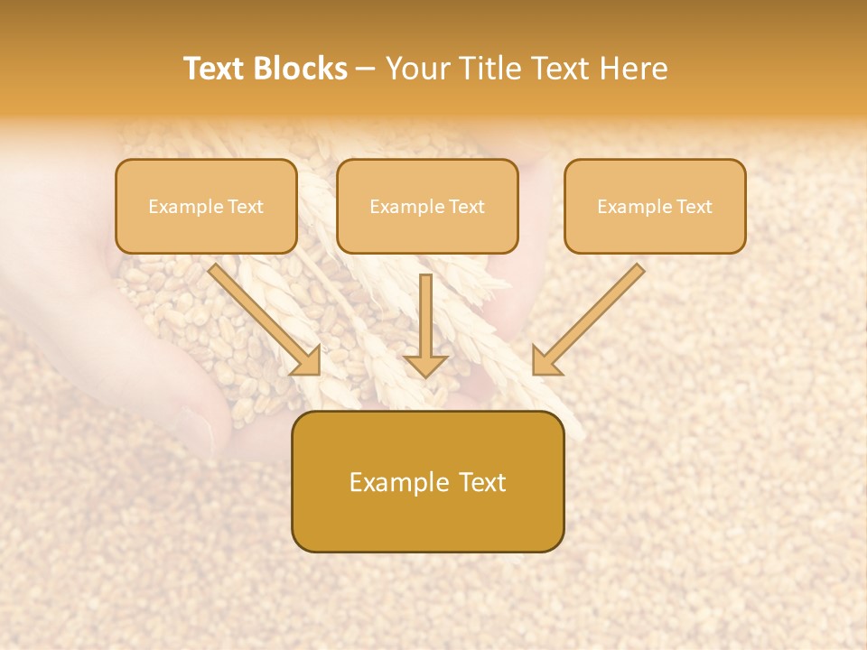Agricultural Ears Harvest PowerPoint Template